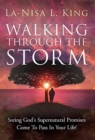 Image for Walking Through The Storm