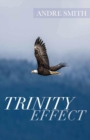 Image for Trinity Effect