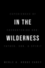 Image for In the Wilderness : Experiences of Encountering God: Father, Son, and Spirit