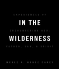 Image for In the Wilderness: Experiences of Encountering God: Father, Son, and Spirit