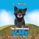 Image for Adventures of Ally: Ally Goes to Mexico