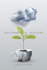 Image for November in January
