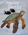 Image for Three Lost Turtles