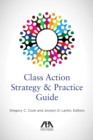 Image for Class action strategy &amp; practice guide
