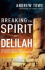 Image for Breaking the Spirit of Delilah