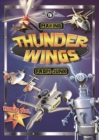 Image for Making Thunder Wings from Junk