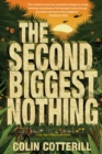 Image for The Second Biggest Nothing