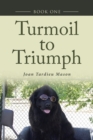 Image for Turmoil to Triumph