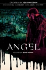 Image for Angel Vol. 1