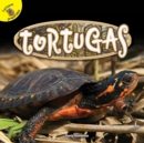 Image for Tortugas: Turtles