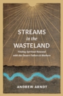 Image for Streams in the wasteland: finding spiritual renewal with the desert fathers and mothers