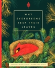Image for Why evergreens keep their leaves