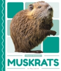 Image for Pond Animals: Muskrats