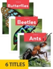 Image for Insects (Set of 6)
