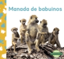 Image for Manada de babuinos