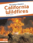 Image for 21st Century Disasters: California Wildfires