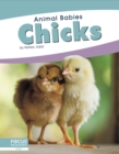 Image for Animal Babies: Chicks