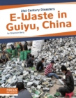 Image for 21st Century Disasters: E-Waste in Guiyu, China