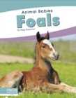 Image for Animal Babies: Foals