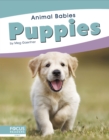 Image for Animal Babies: Puppies