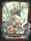Image for Rune Dragons