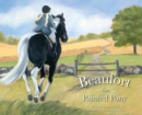 Image for Beaufort the Painted Pony