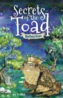 Image for Secrets of the Toad : Reflection