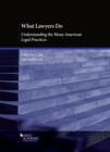 Image for What Lawyers Do : Understanding the Many American Legal Practices