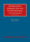 Image for International Criminal Law and Its Enforcement
