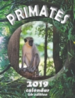 Image for Primates 2019 Calendar (UK Edition)