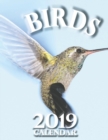 Image for Birds 2019 Calendar (UK Edition)