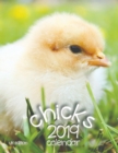 Image for Chicks 2019 Calendar (UK Edition)