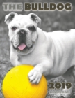 Image for The Bulldog 2019 Calendar (UK Edition)