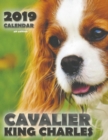 Image for Cavalier King Charles 2019 Calendar (UK Edition)