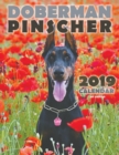 Image for Doberman Pinscher 2019 Calendar (UK Edition)