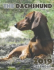 Image for The Dachshund 2019 Calendar (UK Edition)
