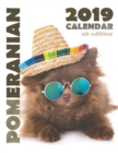 Image for Pomeranian 2019 Calendar (UK Edition)