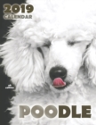 Image for Poodle 2019 Calendar (UK Edition)