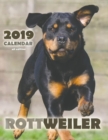 Image for Rottweiler 2019 Calendar (UK Edition)