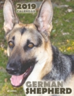Image for German Shepherd 2019 Calendar (UK Edition)