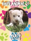 Image for Baby Animals! 2019 Calendar (UK Edition)