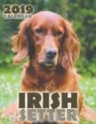 Image for Irish Setter 2019 Calendar (UK Edition)