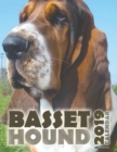 Image for Basset Hound 2019 Calendar (UK Edition)