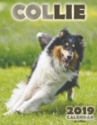 Image for Collie 2019 Calendar (UK Edition)