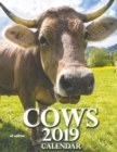 Image for Cows 2019 Calendar (UK Edition)