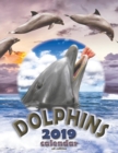 Image for Dolphins 2019 Calendar (UK Edition)