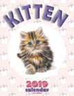 Image for Kitten 2019 Calendar (UK Edition)