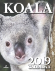 Image for Koala 2019 Calendar (UK Edition)