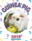 Image for Guinea Pig 2019 Calendar (UK Edition)