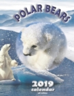 Image for Polar Bears 2019 Calendar (UK Edition)